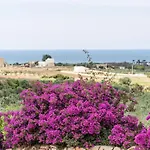 Alessandra Marina Di Pescoluse